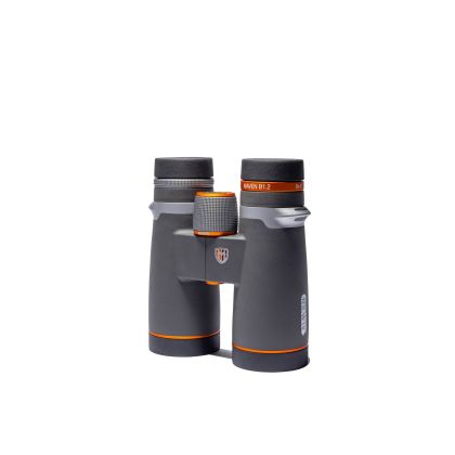 Gray / Orange