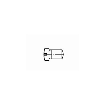 Recknagel Slotted Mounting Screw M3x4.7x4