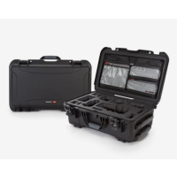 Organizator