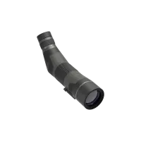 Leupold SX-4 Pro Guide HD 15-45x65 Angled Gen2