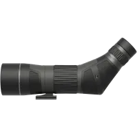 Leupold SX-4 Pro Guide HD 15-45x65 Angled Gen2