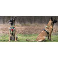 Niggeloh Dog Harness Follow Sport Plus