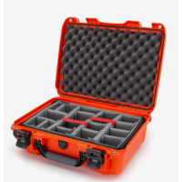 Nanuk 925 Case