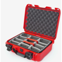 Nanuk 920 Case