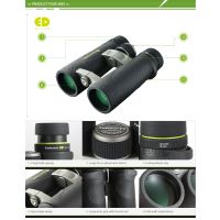 Vanguard Endeavor ED 10x42 Binoculars